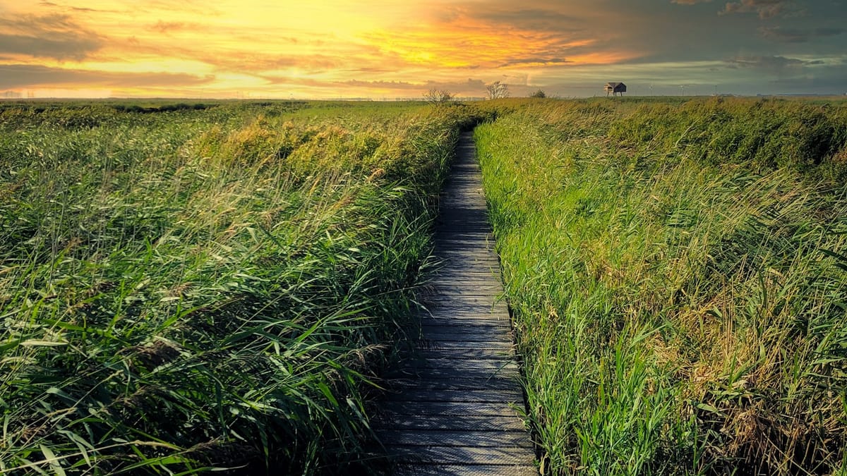 Emigreren begint niet bij een land